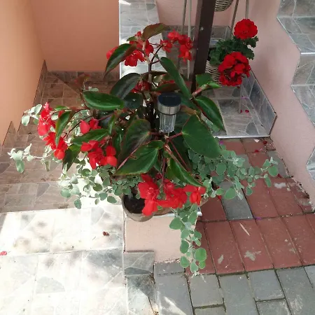 Beata Vendeghaz Pensiune