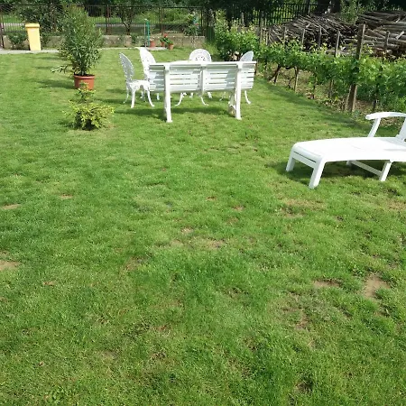 Pensiune Beata Vendeghaz *